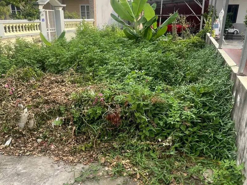 Lô Đất Hai Mặt Tiền Đắt Giá Tại Trung Tâm Phường Sang Trọng... Bán đất tại Hưng Đạo, Hải Phòng 01