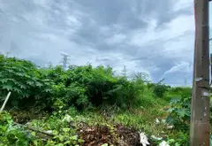 Bán đất kinh doanh 2 mặt tiền tại xã Phước Kiển, Nhà Bè... Bán đất tại Nhà Bè, Hồ Chí Minh 10