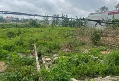Cơ Hội Vàng Sở Hữu Đất Vị Trí Vàng Tại Kiến Thụy - Đường Ô Tô Thông Thoáng... Bán đất tại Kiến Thụy, Hải Phòng 02