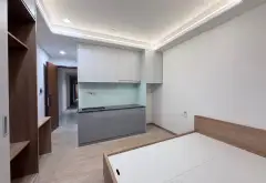 Bán nhà riêng 6 tầng tại phường Lê Đức Thọ, phù hợp kinh doanh CHDV cao cấp... Bán nhà riêng tại An Nhơn, Hồ Chí Minh 05