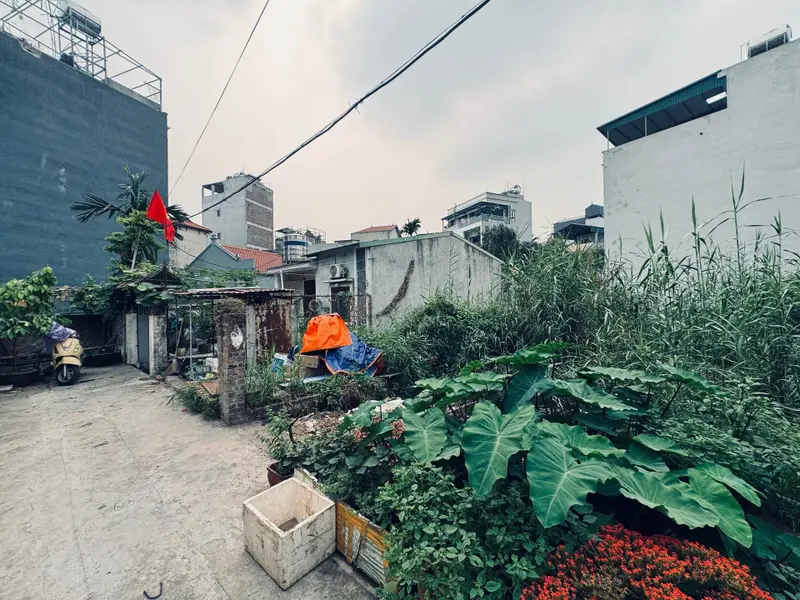 Bán đất mặt tiền rộng, vị trí tiềm năng tại Đại Cát... Bán đất tại Thượng Cát, Hà Nội 01