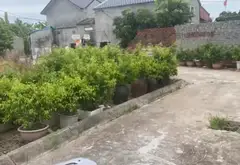 Cơ hội sở hữu đất nền đẹp thôn Đại Điền, Tân Viên, An Lão... Bán đất tại An Lão, Hải Phòng 01