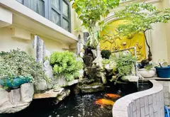 💎 BIỆT THỰ 5 TẦNG – GÒ DẦU P. TÂN SƠN NHÌ – TÂN PHÚ — NGANG 9M – GARA Ô TÔ – 33 TỶ TL... Bán nhà riêng tại Tân Sơn Nhì, Hồ Chí Minh 02