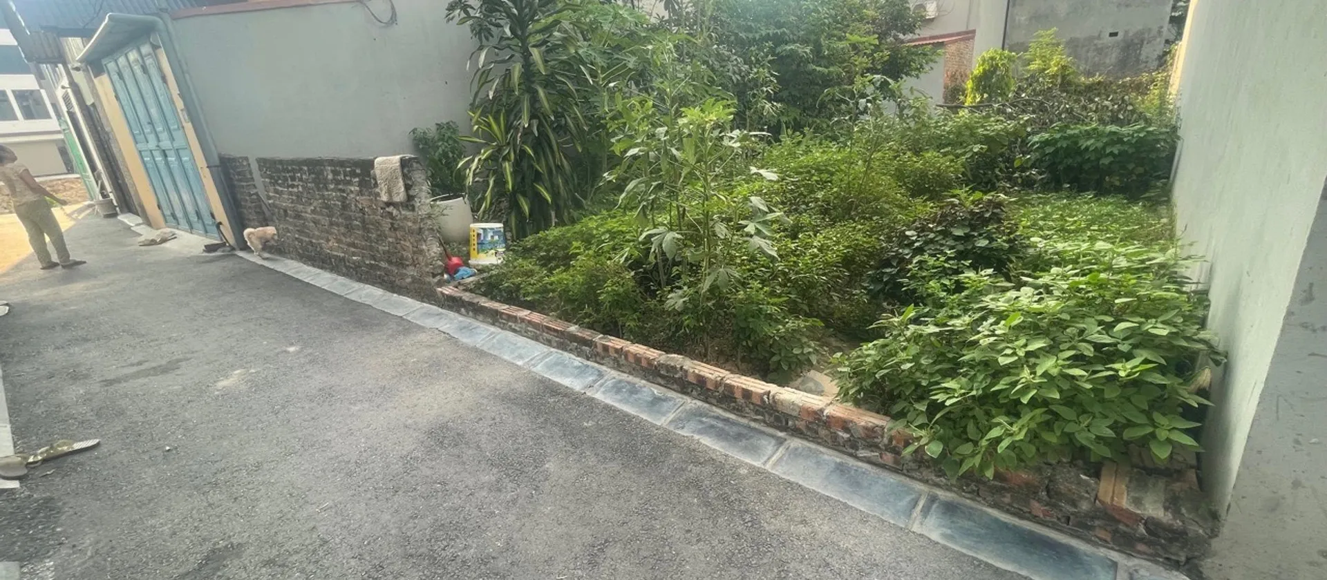 Bán đất 62,2m² tại Thôn Đoài, Nam Hồng, Đông Anh với vị trí thuận tiện.... Bán đất tại Phúc Thịnh, Hà Nội 01