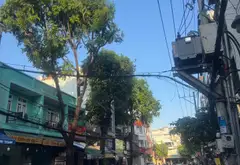 Nhà mặt phố 3 tầng 47m2 tại phường Hiệp Tân, giá 14.5 tỷ... Bán nhà mặt phố tại Phú Thạnh, Hồ Chí Minh 05