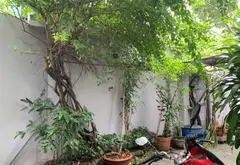 Bán nhà đường Tô Ngọc Vân Tp HCM... Bán nhà mặt phố tại Thủ Đức, Hồ Chí Minh 04