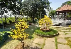 Bán nhà vườn nghỉ dưỡng diện tích lớn tại xã Bình Lợi, Bình Chánh... Bán nhà mặt phố tại Bình Lợi, Hồ Chí Minh 08