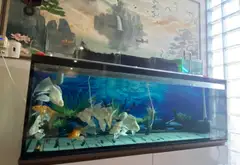 Bán nhà mặt phố Quận 6, 4 tầng, 5 phòng ngủ, giá 17.5 tỷ... Bán nhà mặt phố tại Bình Phú, Hồ Chí Minh 07