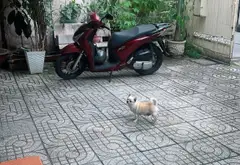 Bán nhà 2 tầng 188m2 hẻm xe hơi Bành Văn Trân, Tân Bình gần chợ Nghĩa Phát... Bán owner_side tại Tân Sơn Nhất, Hồ Chí Minh 02