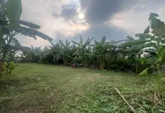 Bán đất mặt tiền đường Nguyễn Bình - hơn 700m. Gần ĐH thể thao, trung tâm văn hóa... Bán đất tại Nhà Bè, Hồ Chí Minh 03