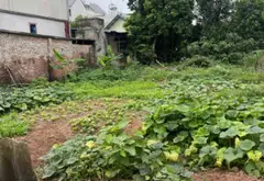 Bán đất 102m2 gần chợ Rồng, Chương Mỹ, đường ô tô vào, pháp lý rõ ràng... Bán đất tại Hòa Phú, Hà Nội 01