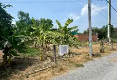 Bán đất 174m2 tại xã Du Thị Hồi, hướng Tây Nam, đường ô tô 5m, giá 1,7 tỷ đồng... Bán đất tại Bình Mỹ, Hồ Chí Minh 10