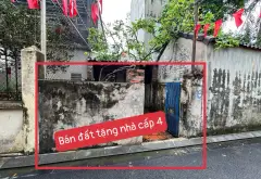 Cơ Hội Hiếm Có: Bán Đất Tặng Nhà Cấp 4 Vị Trí Đắc Địa Ở Bắc Hồng... Bán đất tại Phúc Thịnh, Hà Nội 02