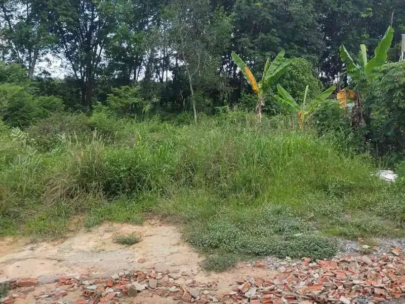 Đất đẹp Bình Dương mặt tiền rộn ràng cơ hội đầu tư... Bán đất tại Bình Dương, Hồ Chí Minh 01