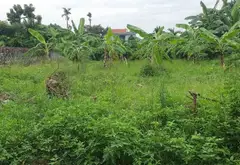 Nền đất lý tưởng tại phường Lưu Kiếm, Thủy Nguyên, Hải Phòng... Bán đất tại Lưu Kiếm, Hải Phòng 13