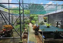 Bán nhà mặt phố rộng 311m2 ở Thới Tam Thôn, Đông Thạnh, Hóc Môn với nhiều tiềm năng... Bán nhà mặt phố tại Đông Thạnh, Hồ Chí Minh 14