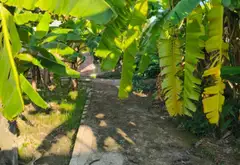 Cơ hội sở hữu đất vàng tại Đồng Lâm, Đông Thủy Nguyên Hải Phòng... Bán nhà riêng tại Thiên Hương, Hải Phòng 08