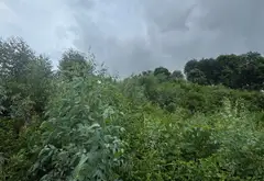 Bán đất diện tích lớn tại phường Bãi Cháy, Quảng Ninh với pháp lý cơ sở... Bán đất tại Bãi Cháy, Quảng Ninh 12