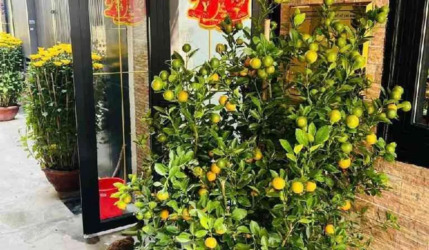 GẤP - HỒ VĂN HUÊ - 🔥 TỪ 6,7 TỶ XUỐNG CÒN 6 TỶ – CHỦ MUỐN CHỐT NHANH... Bán nhà riêng tại Đức Nhuận, Hồ Chí Minh 01