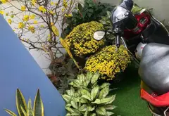 5x13m, Bán nhà 3 Tầng, 1/ Nguyễn Oanh, P10 Gò Vấp, 6 tỷ hơn chốt... Bán nhà riêng tại Gò Vấp, Hồ Chí Minh 03