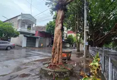 Bán nhà riêng tại phường Khả Lễ, Võ Cường, diện tích 52.7m2, mặt tiền rộng 6.1m... Bán nhà riêng tại Võ Cường, Bắc Ninh 03