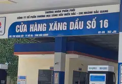 Hàng hiếm đất phố mt5.3m,dt61m2,Nhỉnh1tỷ,Bờ Mận,Yên Thế, Bắc Giang,alo 0353732090... Bán đất tại Bố Hạ, Bắc Ninh 02