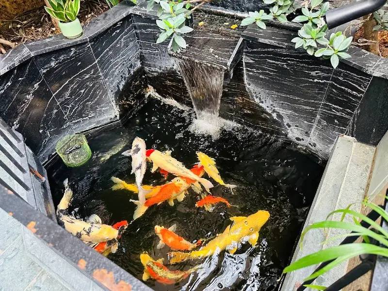 Bán biệt thự liền kề Phú Diễn, 6 tầng thang máy, giá siêu hợp lý... Bán biệt thự, liền kề tại Phú Diễn, Hà Nội 01