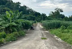 Bán đát thất gian khuyên mại vườn sắn... Bán đất tại Quế Võ, Bắc Ninh 05