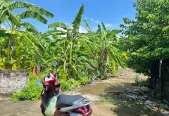 Đất nền khu vực xã Lại Xuân, vị trí thuận tiện phát triển sinh hoạt và kinh doanh... Bán đất tại Lai Khê, Hải Phòng 02