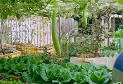 Nhà mặt phố kinh doanh đẳng cấp tại Khu Đô Thị Văn Phú, Hà Đông 110m2, 6 tầng, Thang Máy.... Bán nhà mặt phố tại Hà Đông, Hà Nội 10