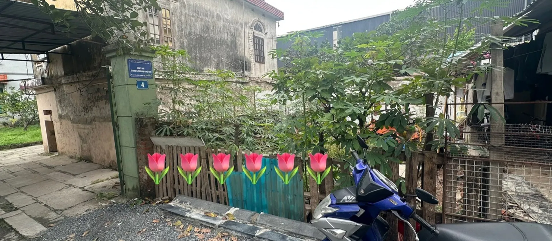 Lô đất vàng Cổ Điển, vị trí đắc địa cho nhà đầu tư... Bán đất tại Vĩnh Thanh, Hà Nội 01