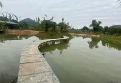 Khu nghỉ dưỡng vườn cây ao cá siêu đẹp tại Trung Giã... Bán đất tại Trung Giã, Hà Nội 03
