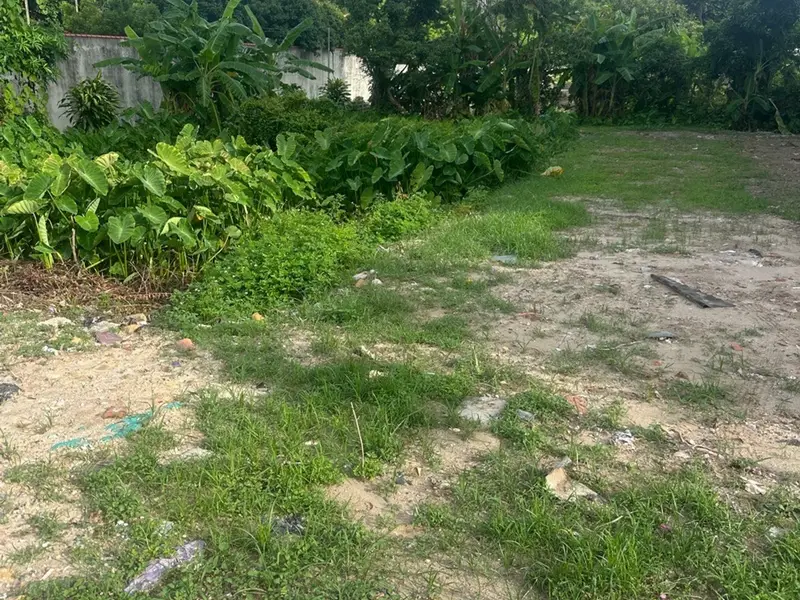 Đất Mặt Đường Lớn An Lão: Vị Trí Vàng, Cơ Hội Kinh Doanh Đỉnh Cao... Bán đất tại An Lão, Hải Phòng 01
