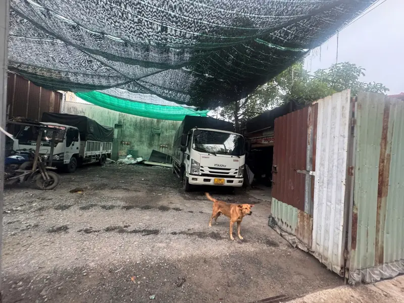 Đất Trống Nguyễn Thị Búp 150m2 đang cho thuê 60tr/ năm... Bán đất tại Tân Thới Hiệp, Hồ Chí Minh 01