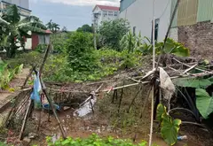 Bán đất thôn Công Luận 2, xã Văn Giang, Hưng Yên - diện tích 126,1 m2, ô tô vào đất... Bán đất tại Văn Giang, Hưng Yên 08