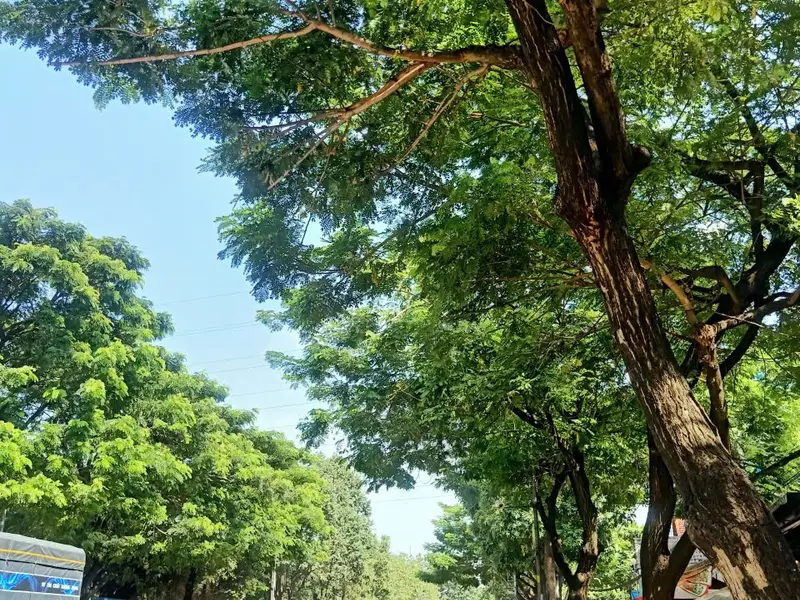 🌺 3TẦNG THỚI AN_ XE 🚗 NGỦ NGON _ DT ĐẸP 4 x24m. NHỈNH 5 Đ. Xách Vali vào ở ngay.... Bán nhà riêng tại Thới An, Hồ Chí Minh 01