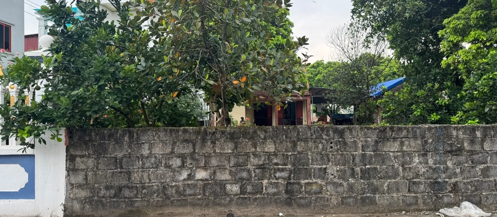 🔥🔥MẢNH ĐẤT NỞ HẬU, MẶT TIỀN RỘNG - ĐƯỜNG Ô TÔ TRÁNH, THÔNG CÁC... Bán đất tại Sơn Nam, Hưng Yên 01