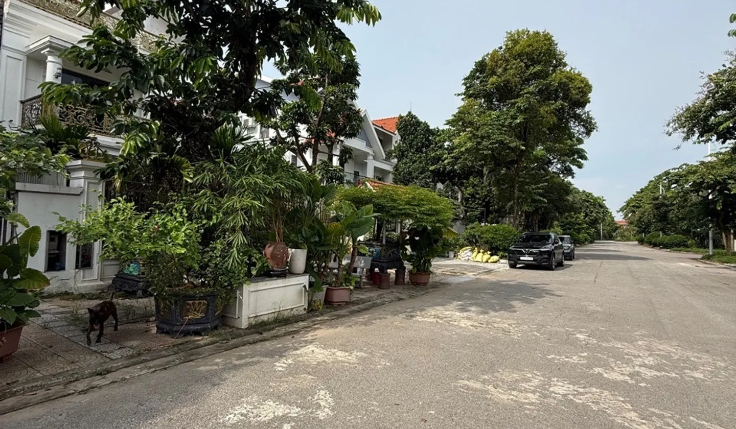 Biệt thự Pháp sang trọng tại Long Việt Riverside, tặng full nội thất tiền tỷ... Bán biệt thự, liền kề tại Quang Minh, Hà Nội 01