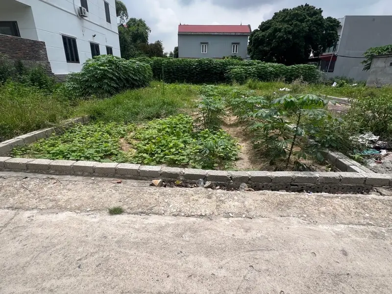 🔥 LÔ ĐẤT GẦN KCN QUẾ VÕ — 77,4M² TẠI TDP HỮU BẰNG, ĐÀO VIÊN, BẮC NINH| CHỈ 1,x TỶ... Bán đất tại Đào Viên, Bắc Ninh 01