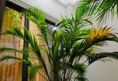Biệt thự sang trọng ven sông tại Phúc Lợi, không gian sống đẳng cấp... Bán biệt thự, liền kề tại Phúc Lợi, Hà Nội 17