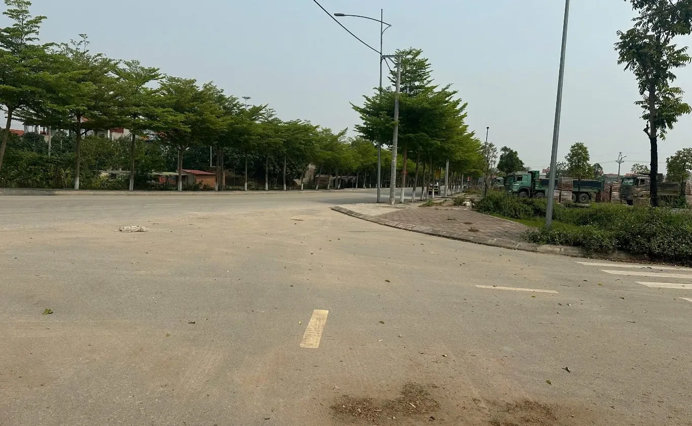 Bán đất mặt đường N1 Hạ Mỗ, đường rộng thênh thang, kinh doanh đỉnh... Bán đất tại Đan Phượng, Hà Nội 01
