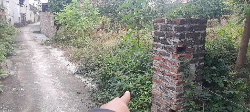 Mảnh đất vàng gần trường đua ngựa - cơ hội đầu tư tuyệt vời... Bán đất tại Sóc Sơn, Hà Nội 01