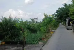 Đất rộng 4.937m2 mặt tiền 63m tại Tân Túc, giá siêu hấp dẫn... Bán đất tại Tân Nhựt, Hồ Chí Minh 03