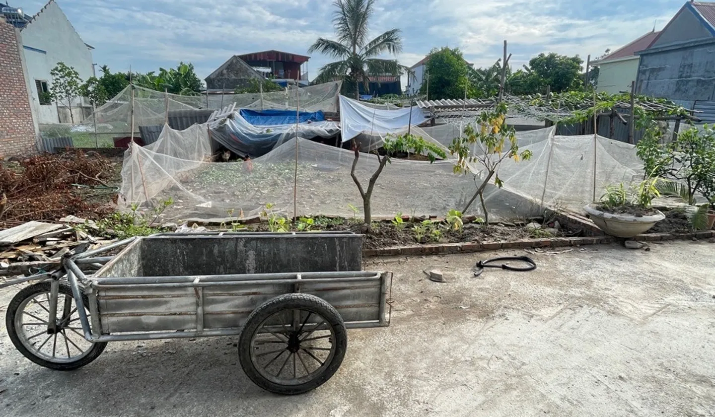 Cơ Hội Vàng Sở Hữu Lô Đất Vị Trí Đắc Địa Tại Kim Châm An Khánh... Bán đất tại An Khánh, Hải Phòng 01