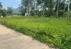 Đất biệt thự nở hậu, ô tô vào tận nơi ở Sóc Sơn... Bán đất tại Trung Giã, Hà Nội 04
