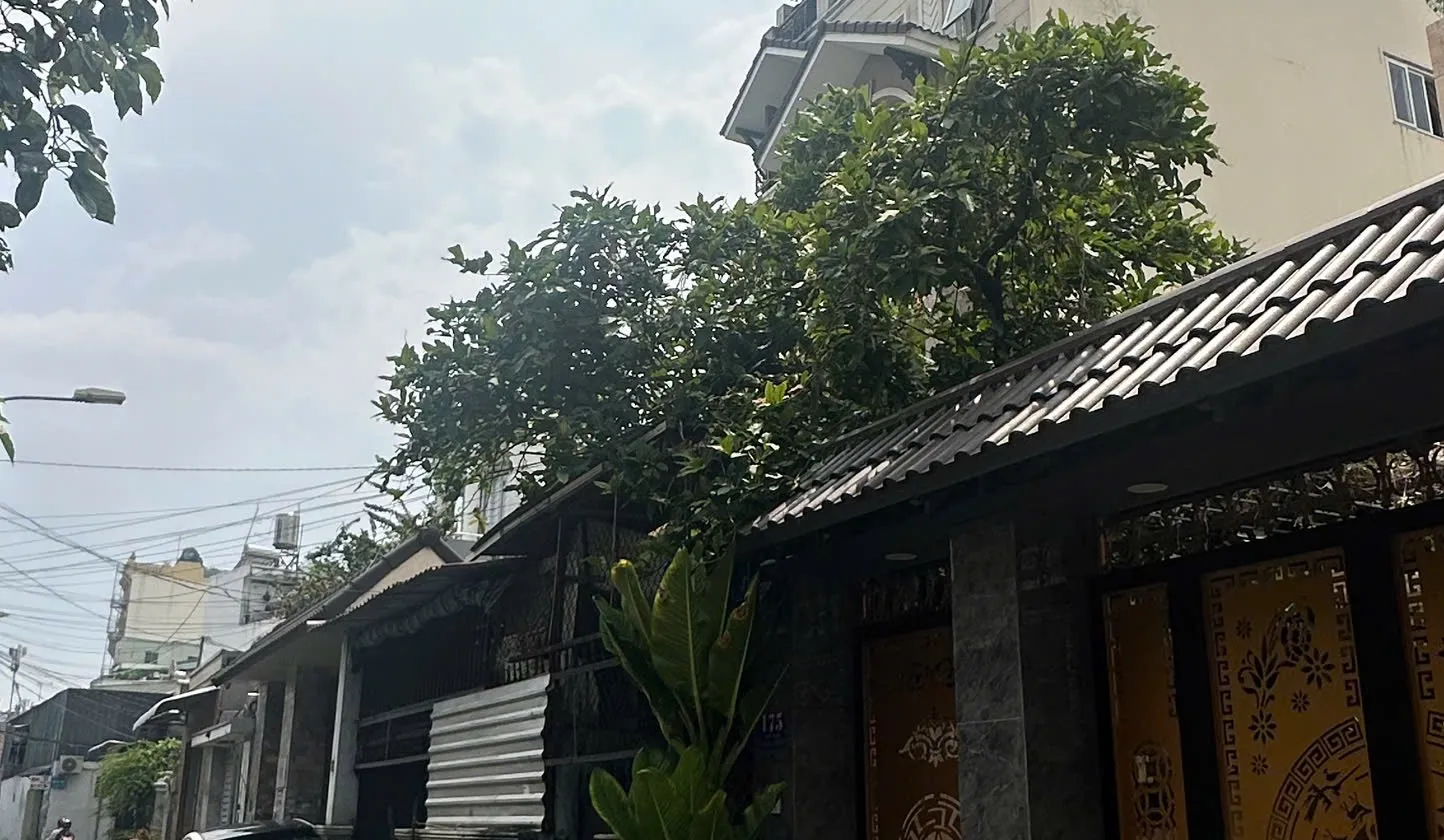 🔥 Bán nhà Tân Phú – Tây Sơn - Mặt tiền - Ngang 5m - 92m² (5x18.4) - 2 tầng - 3PN - Đường 6m... Bán nhà mặt phố tại Phú Thọ Hòa, Hồ Chí Minh 01