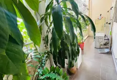 Căn hộ 3 phòng sẵn sàng đón chủ mới tại trung tâm Quận 3... Bán căn hộ chung cư tại Nhiêu Lộc, Hồ Chí Minh 05