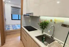 Cơ hội hiếm có sở hữu chung cư mini lô góc tại Lĩnh Nam giá tốt... Bán chung cư mini tại Hoàng Mai, Hà Nội 08
