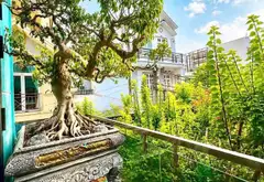 Chủ gấp bán trong tháng - Nhà 3 tầng, 2 mặt tiền Ngay Đình Phong Phú, Q9... Bán nhà riêng tại Tăng Nhơn Phú, Hồ Chí Minh 05