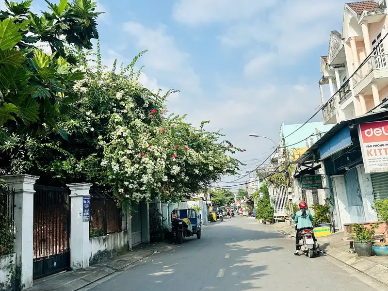 Nhà phố đẳng cấp tại Phú Định, 2516m2, ngang hiếm 25m, view sông thoáng và tiềm năng đầu tư... Bán nhà mặt phố tại Phú Định, Hồ Chí Minh 01
